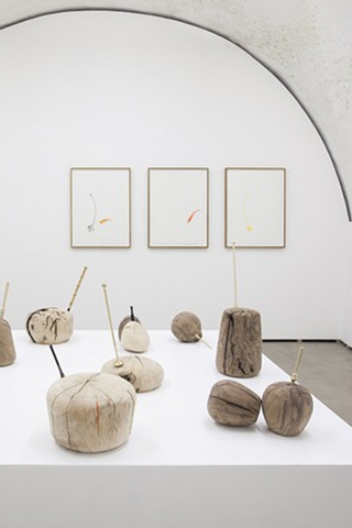 Fuori tema (Off topic)