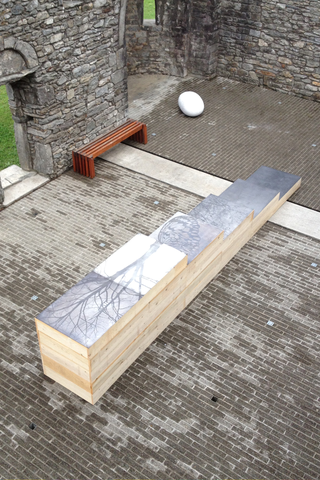 Tu sei un albero io sono un sasso