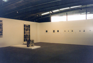 Novas Imagens, Cristian Boffelli