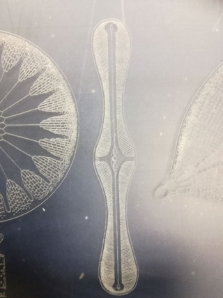 La stampa per l'arte