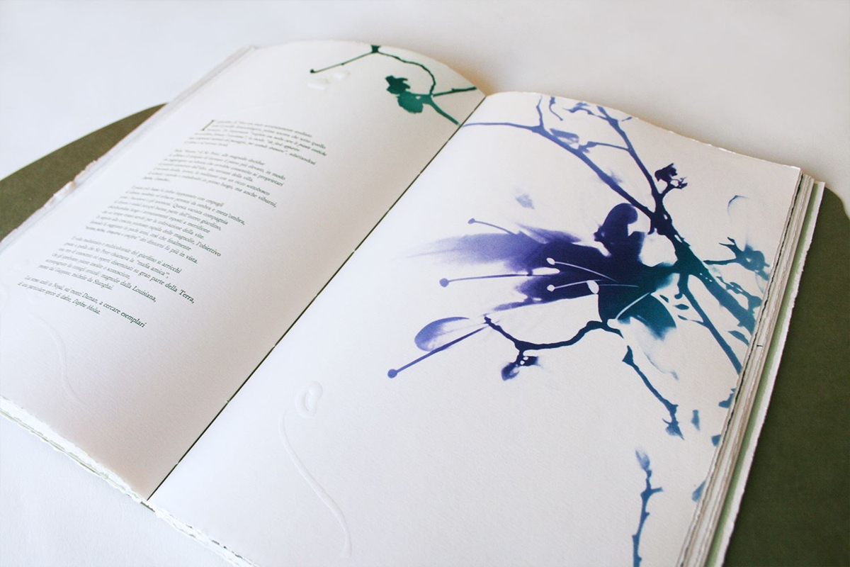 Il giardino è aperto