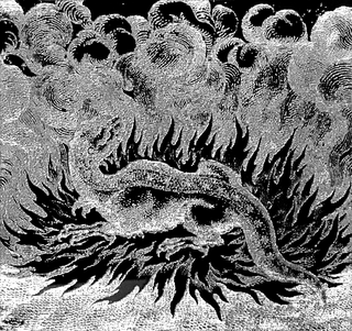 Atalanta Fugiens, Particolare di una delle matrici incise su Plexiglass nero.