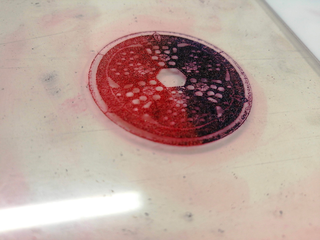 La stampa per l'arte