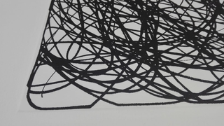 Il delitto del praticante