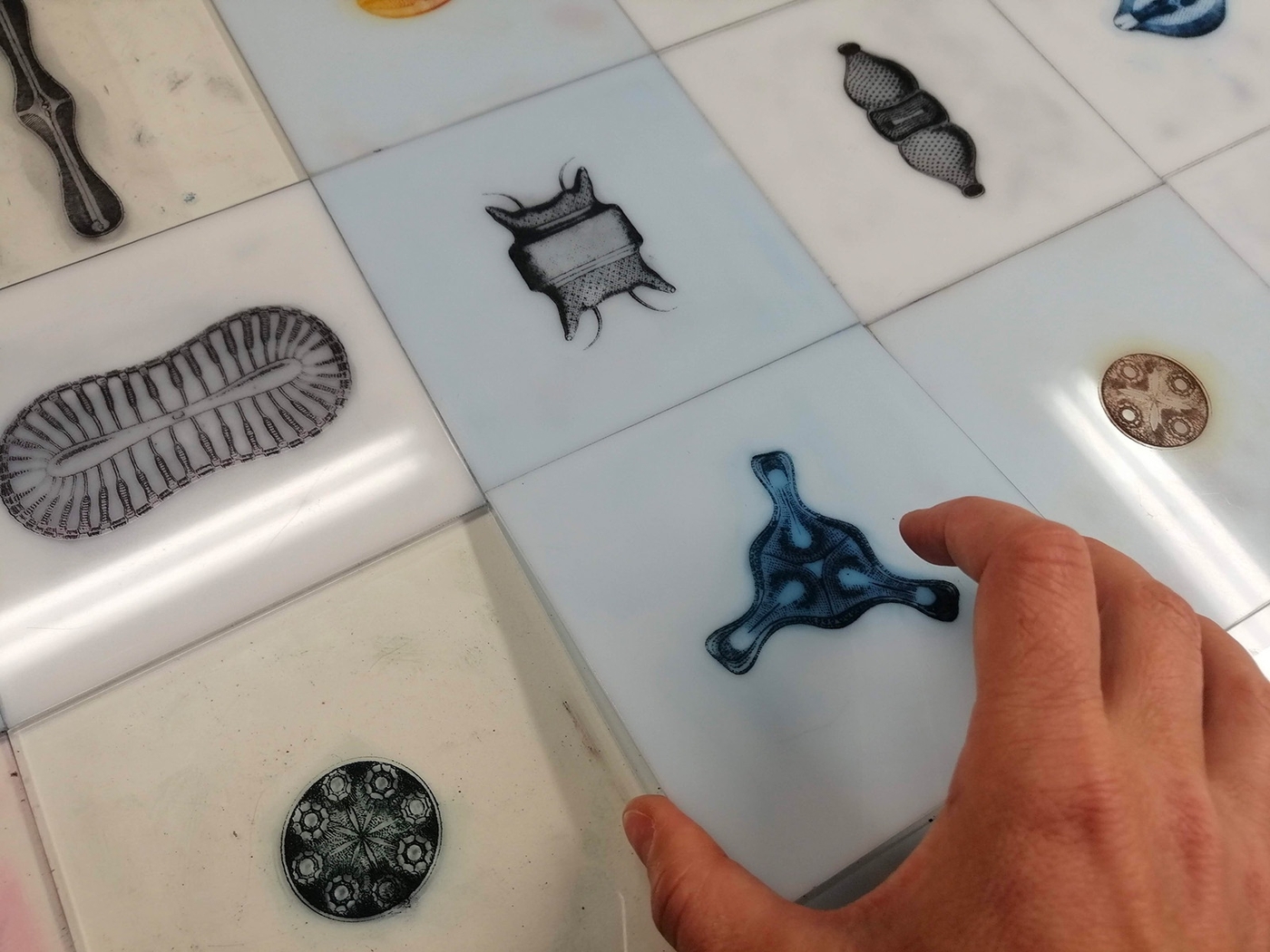 La stampa per l'arte, Matrici in Plexiglass incise con Lasercut e inchiostrate. Fase di disposizione sul piano di stampa del torchio a stella.