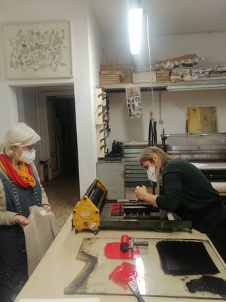 Survive thrive & have some fun!