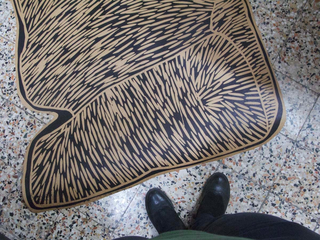 KAi14, Test di sagomatura.