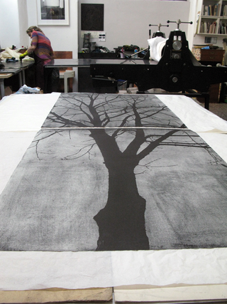 Tu sei un albero io sono un sasso