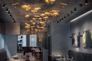 A minha amata-mata, Foto © Marco Varoli.