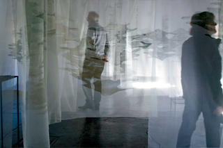 La dimensione nascosta, La dimensione nascosta.